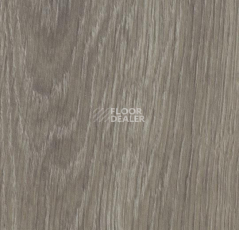 Кварцвиниловые полы Forbo Allura Click Pro 60280CL5 grey giant oak фото 1 | FLOORDEALER